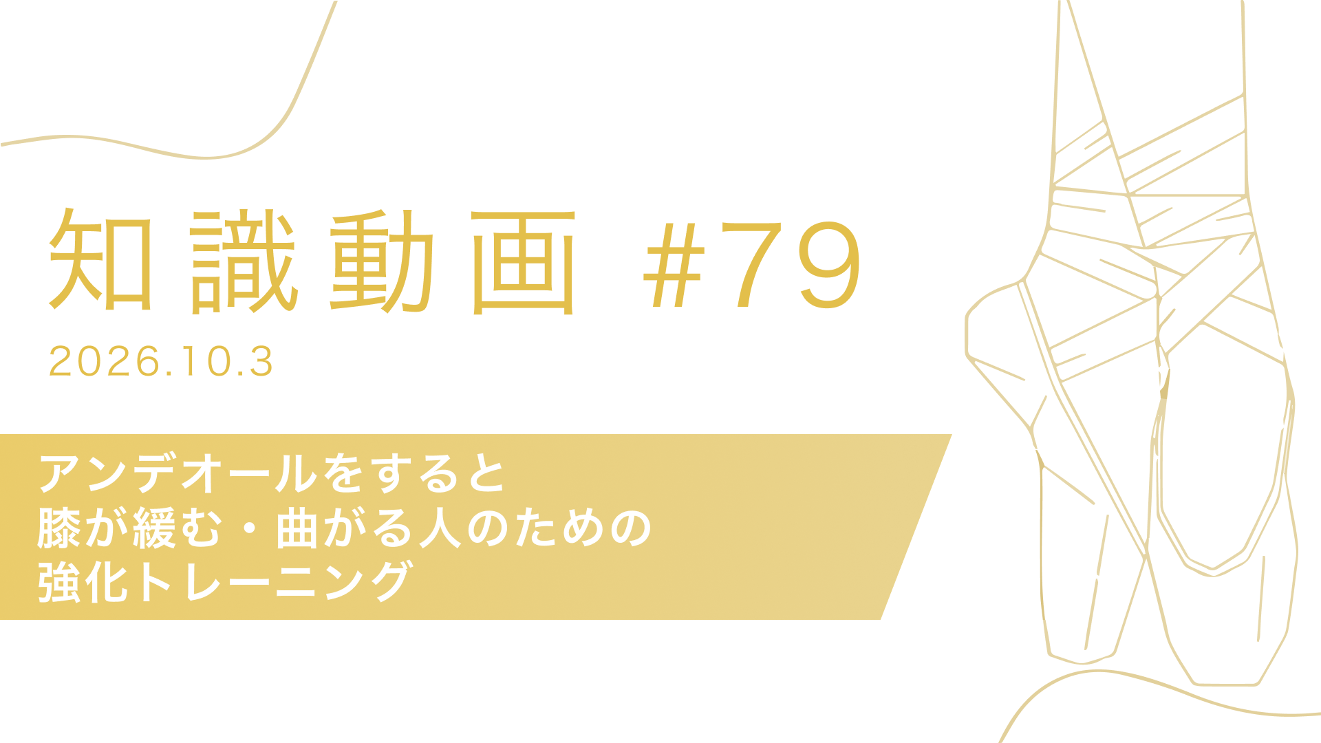知識動画#79 アンデオールをすると膝が緩む・曲がる人のための強化トレーニング
