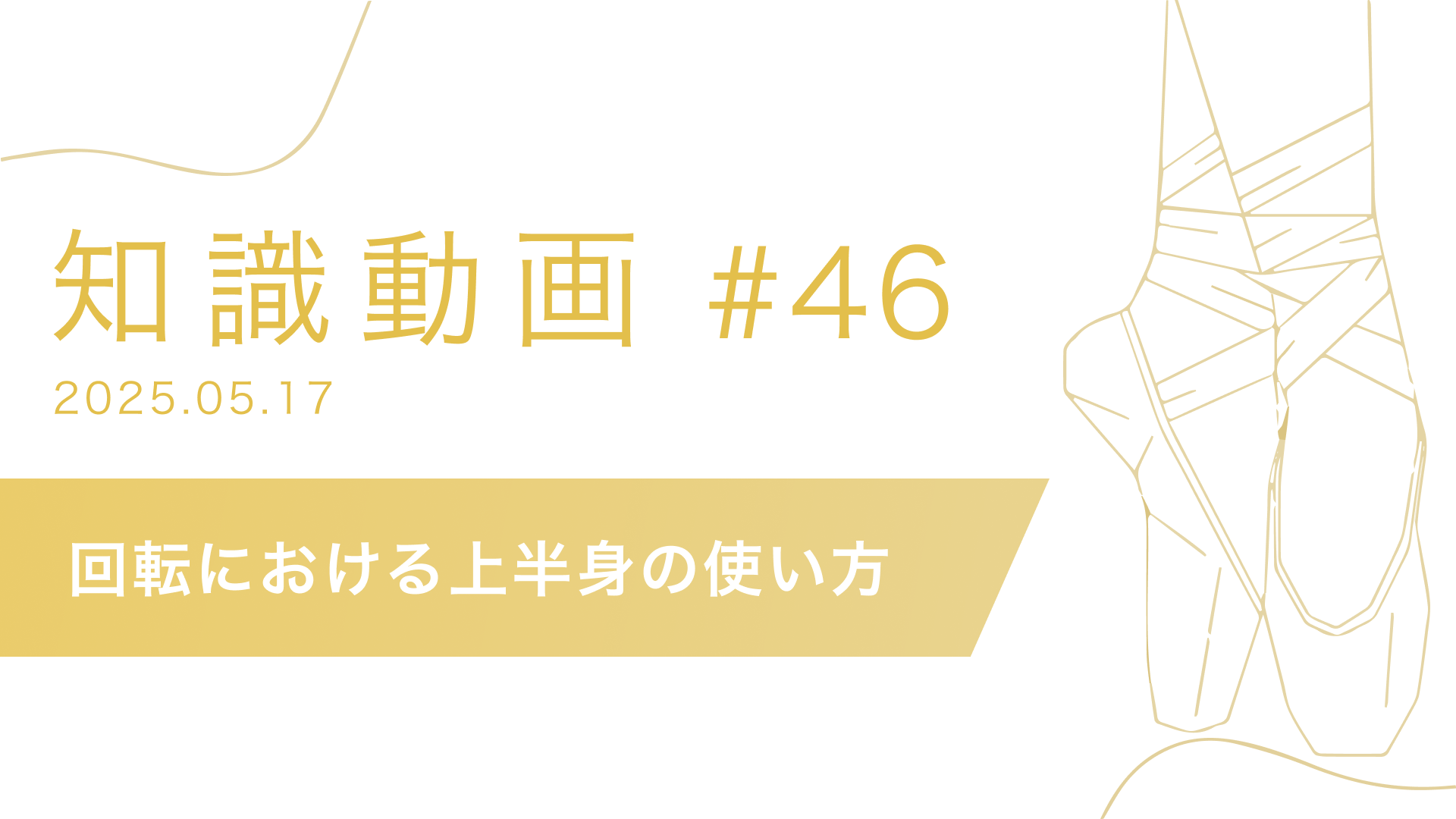 知識動画#46 回転における上半身の使い方