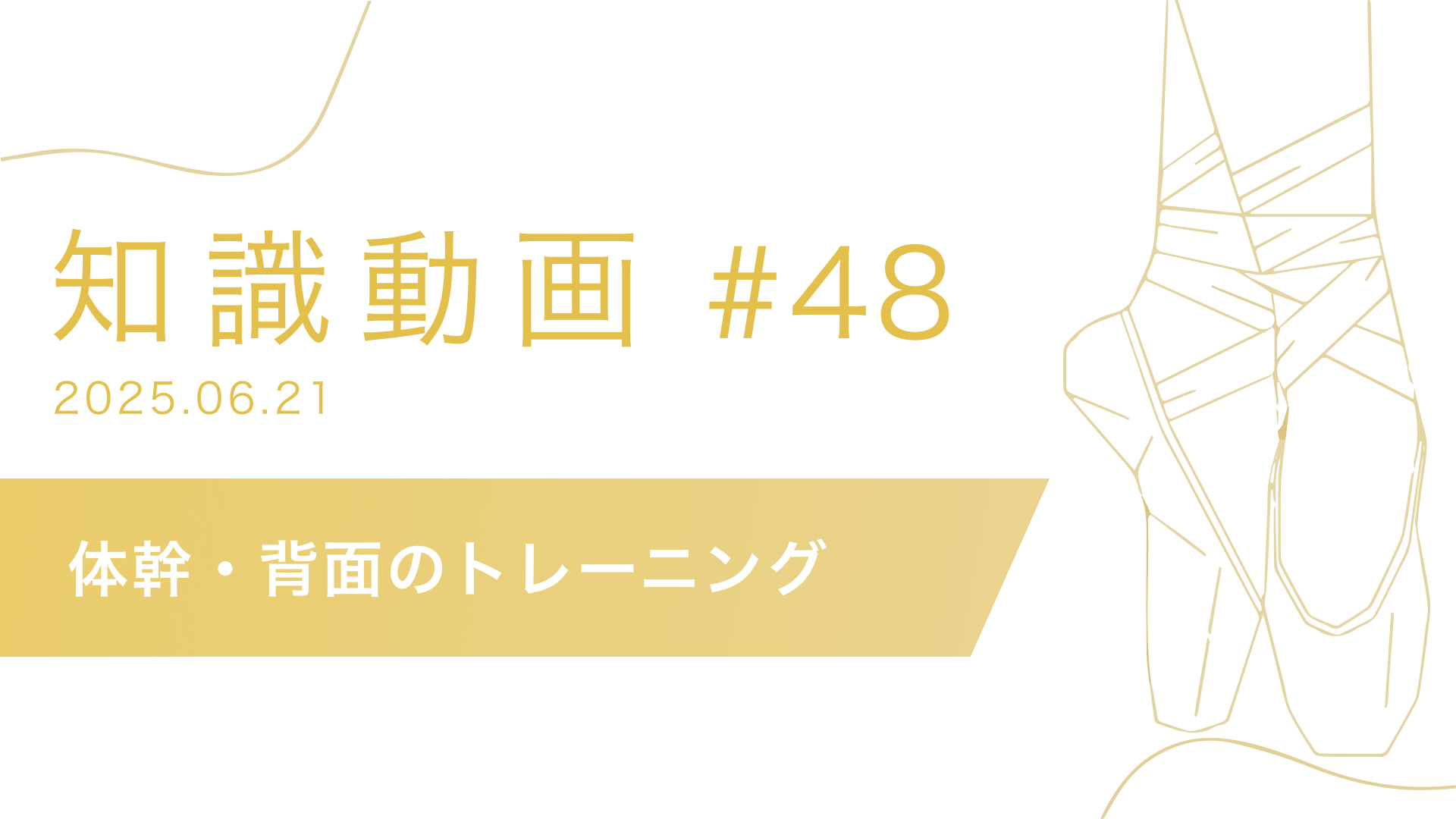 知識動画#48 体幹・背面のトレーニング