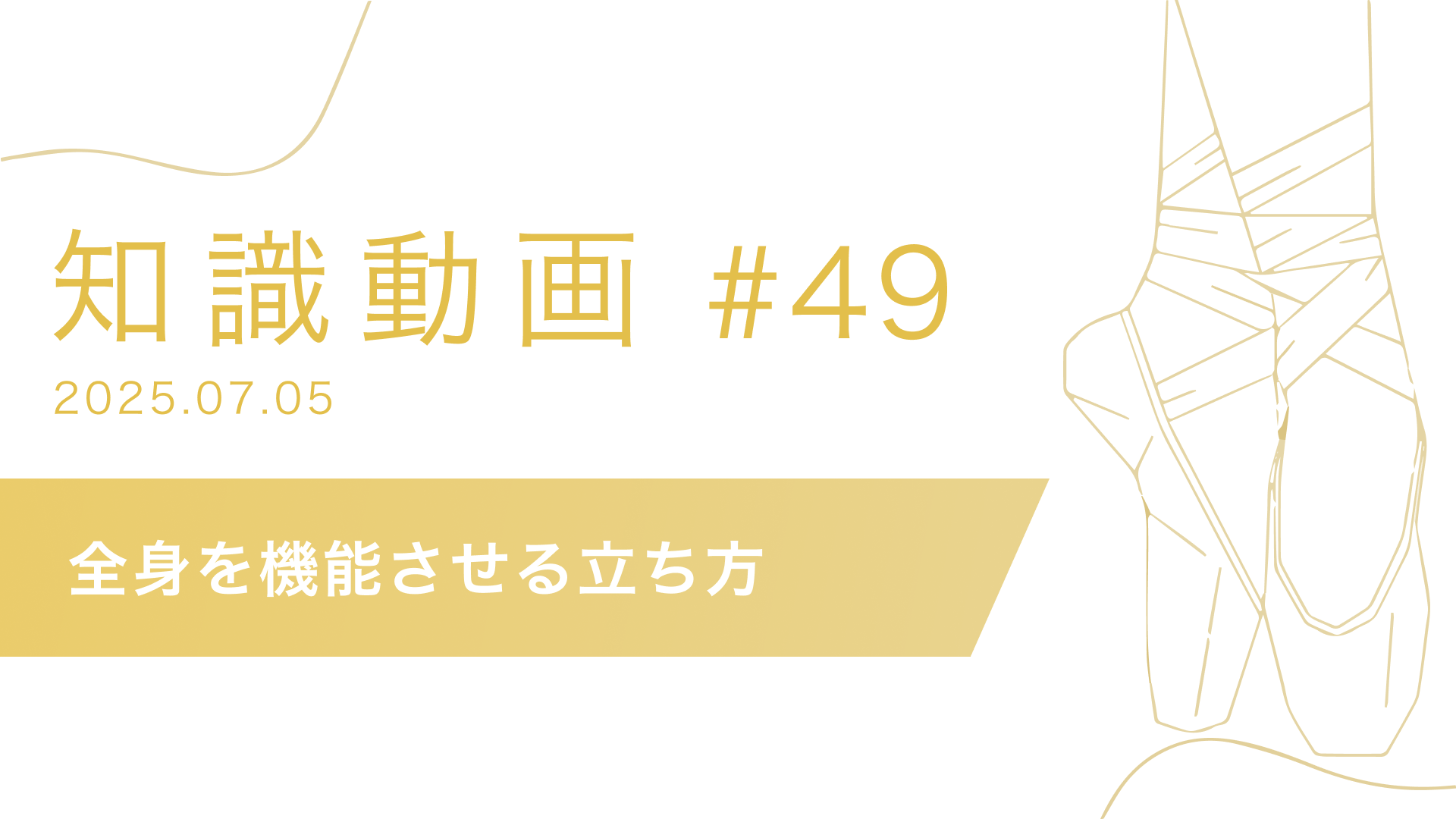 知識動画#49 全身を機能させる立ち方