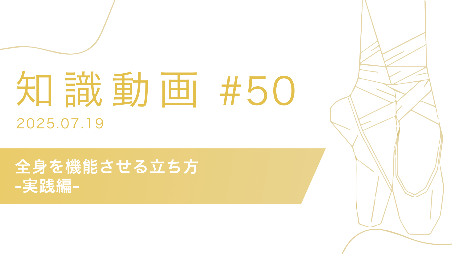知識動画#50 全身を機能させる立ち方-実践編-