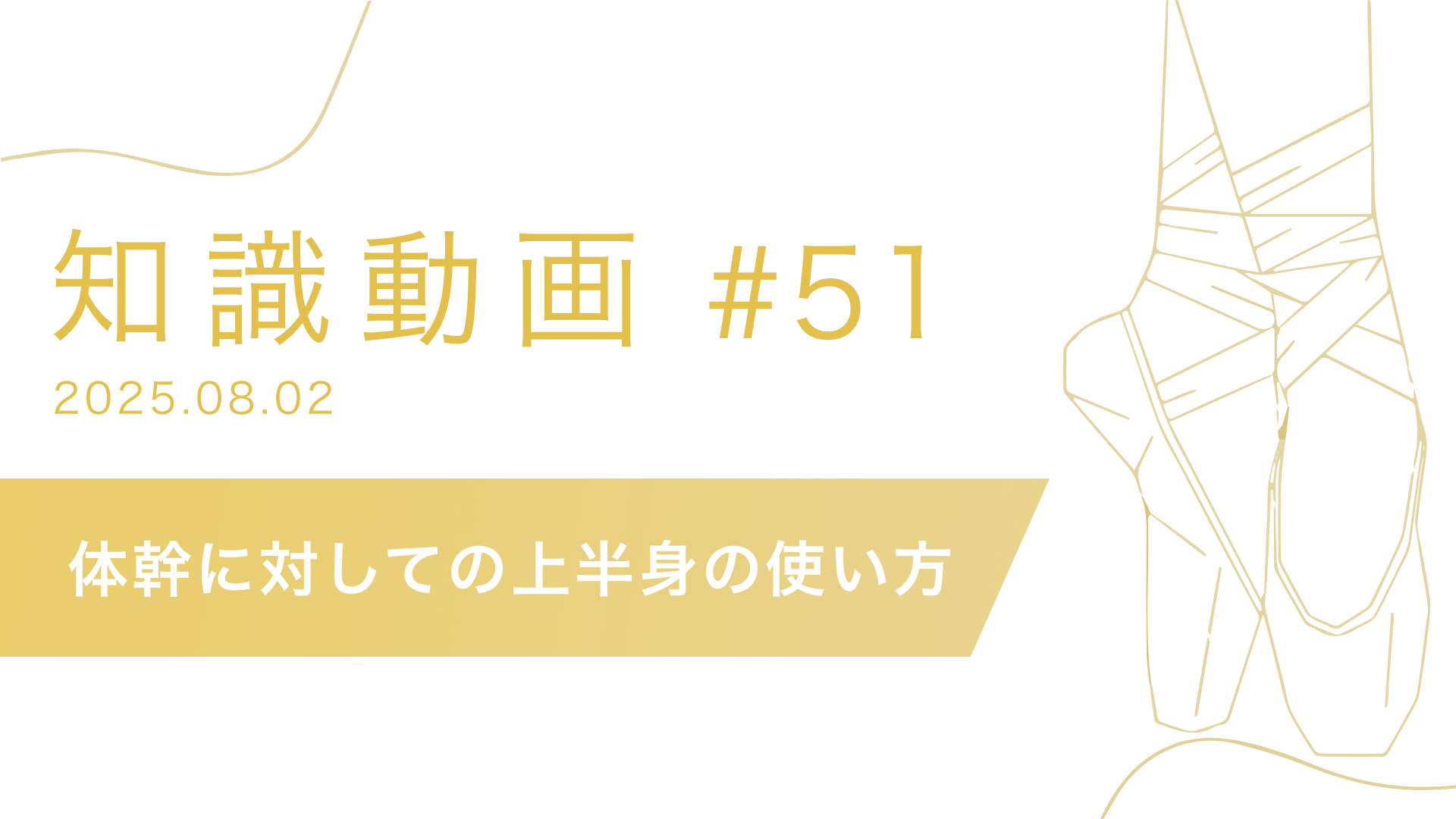 知識動画#51 体幹に対しての上半身の使い方
