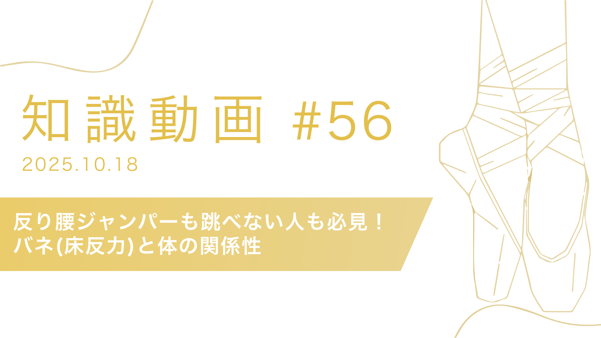 知識動画#56　反り腰ジャンパーも跳べない人も必見！バネ(床反力)と体の関係性