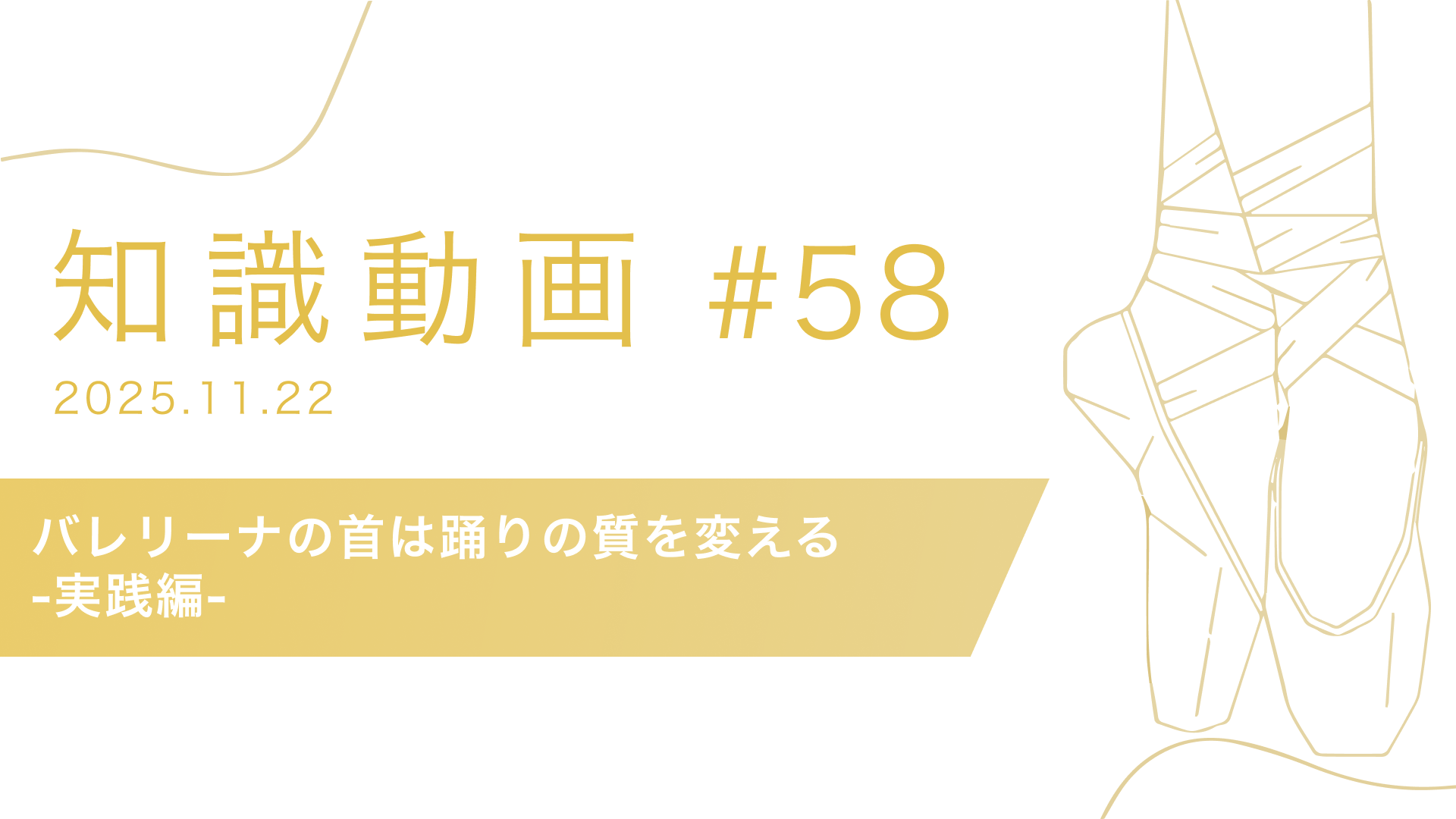 知識動画#58 バレリーナの首は踊りの質を変える-実践編-