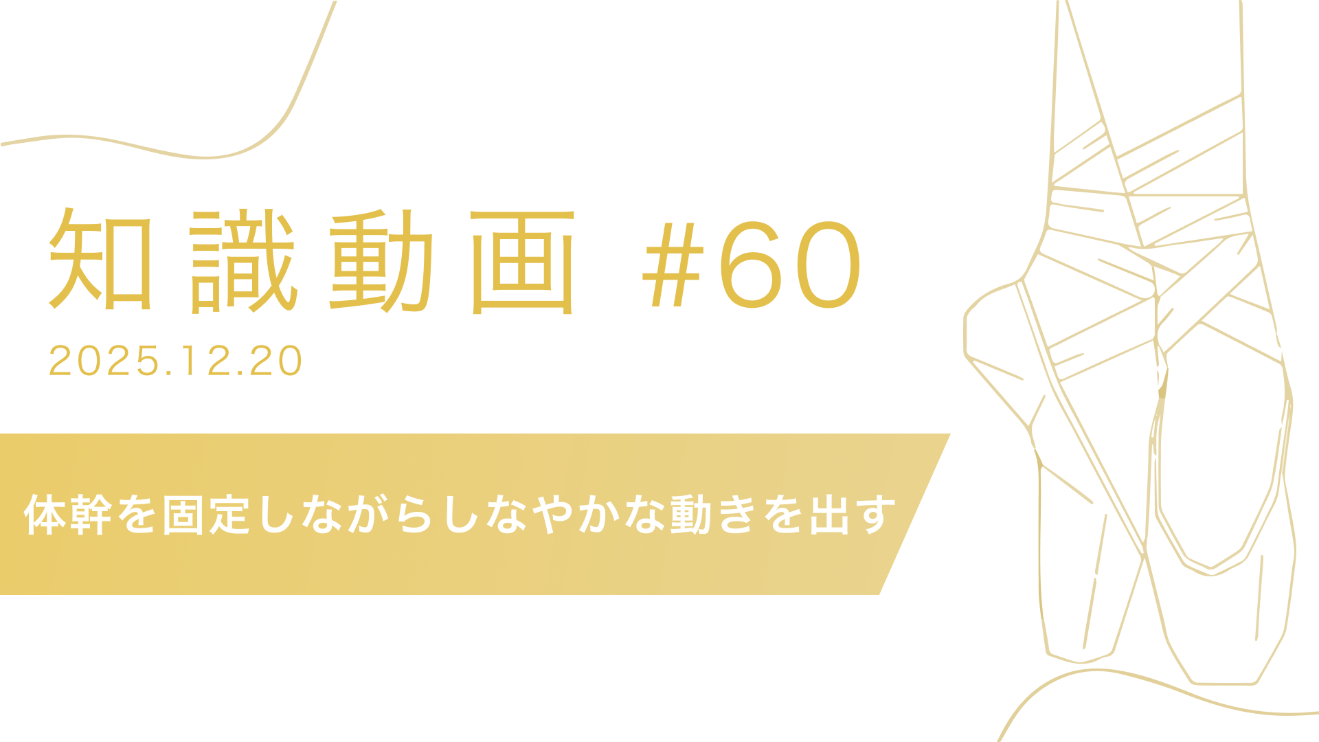 知識動画#60 体幹を固定しながらしなやかな動きを出す
