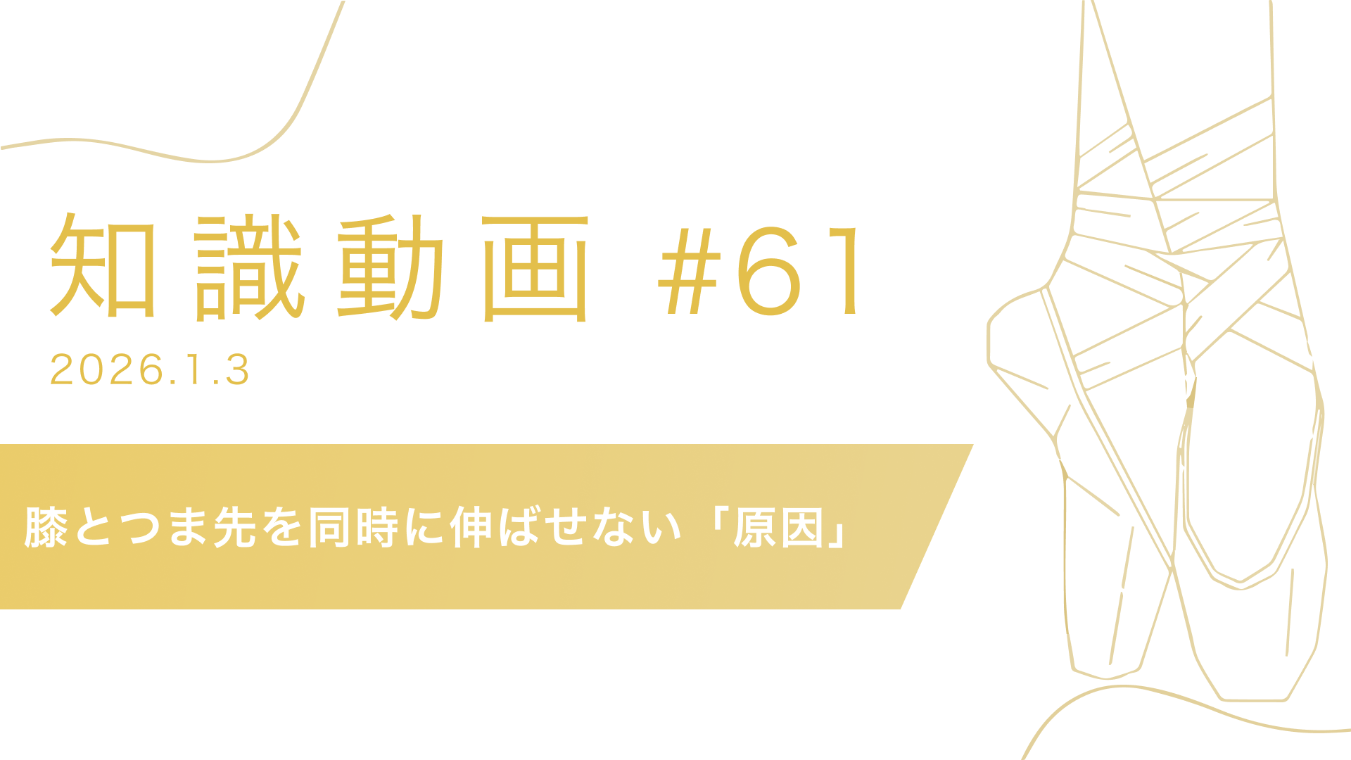 #61 膝とつま先を同時に伸ばせない「原因」