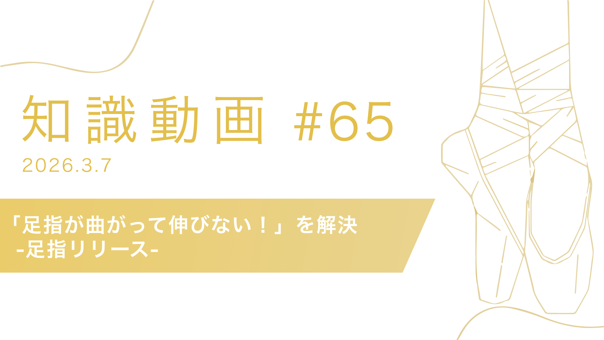 知識動画#65 「足指が曲がって伸びない！」を解決 -足指リリース-