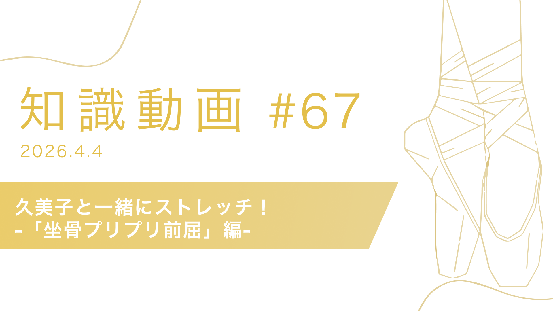 知識動画#67 久美子と一緒にストレッチ！「坐骨プリプリ前屈」編