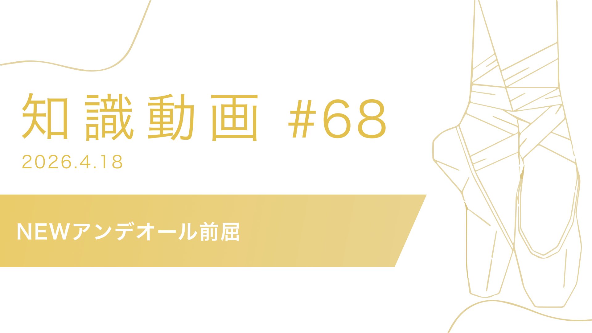 知識動画#68 NEWアンデオール前屈