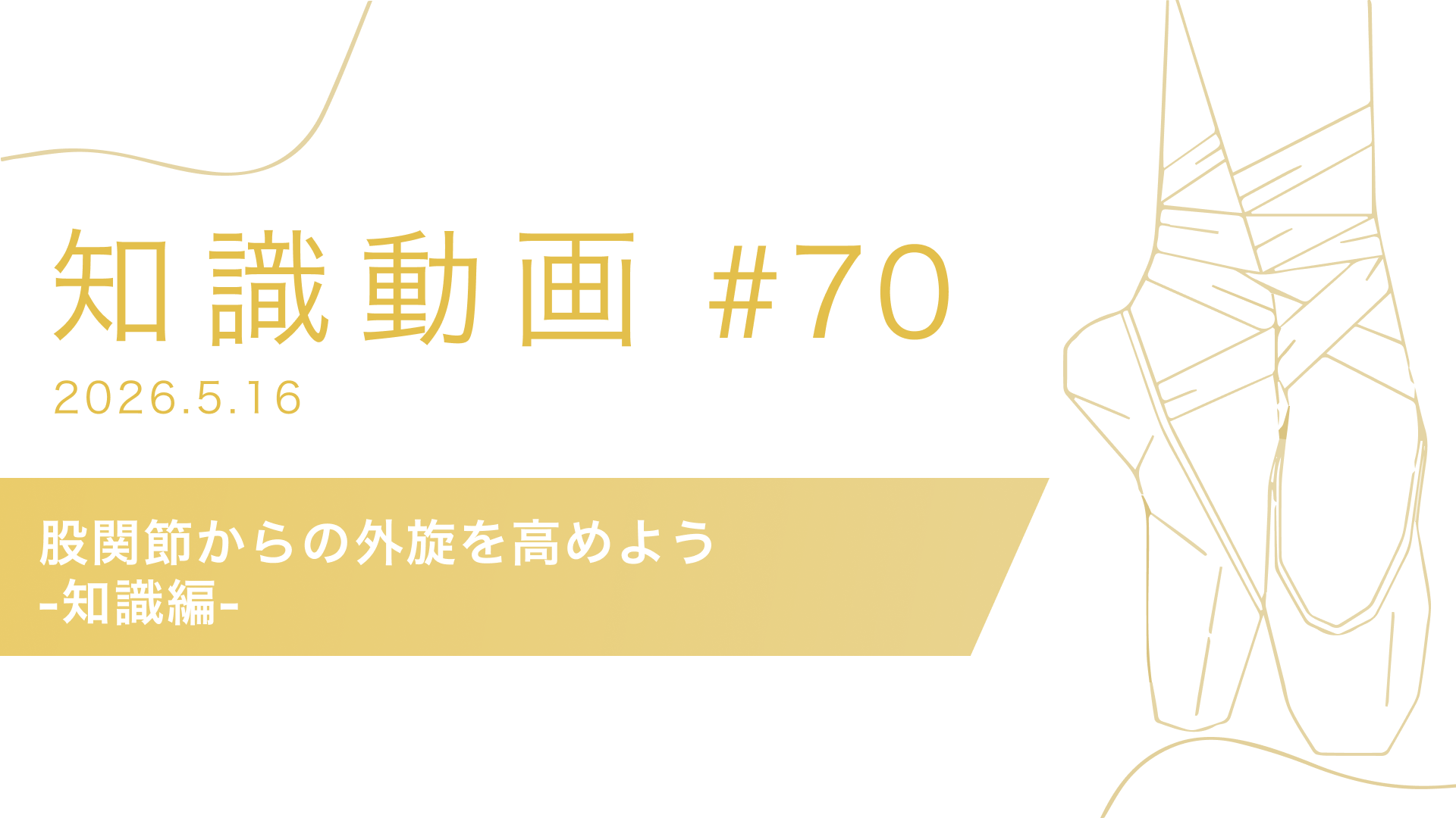 知識動画#70 股関節からの外旋を高めよう-知識編-