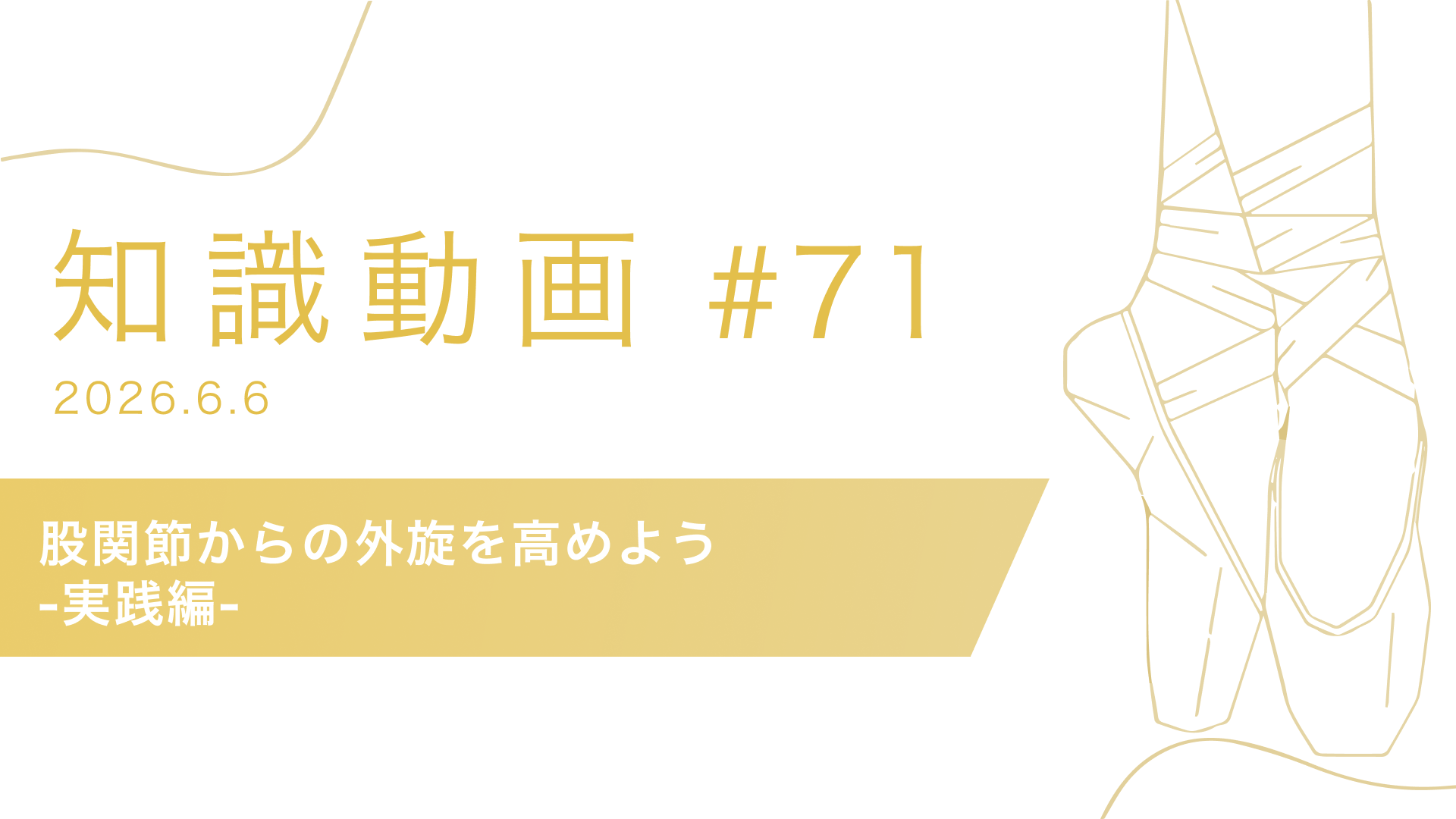知識動画#71 股関節からの外旋を高めよう-実践編-