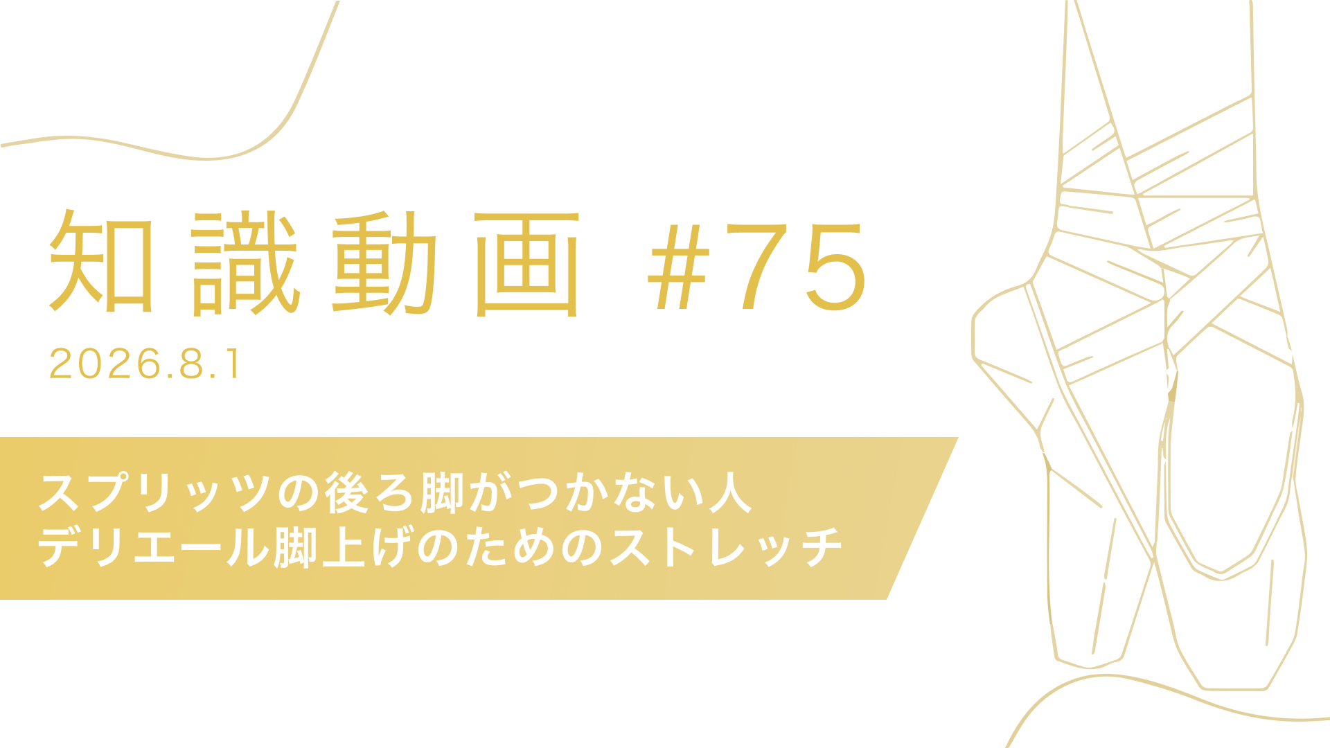 知識動画#75 スプリッツの後ろ脚がつかない人・デリエール脚上げのためのストレッチ