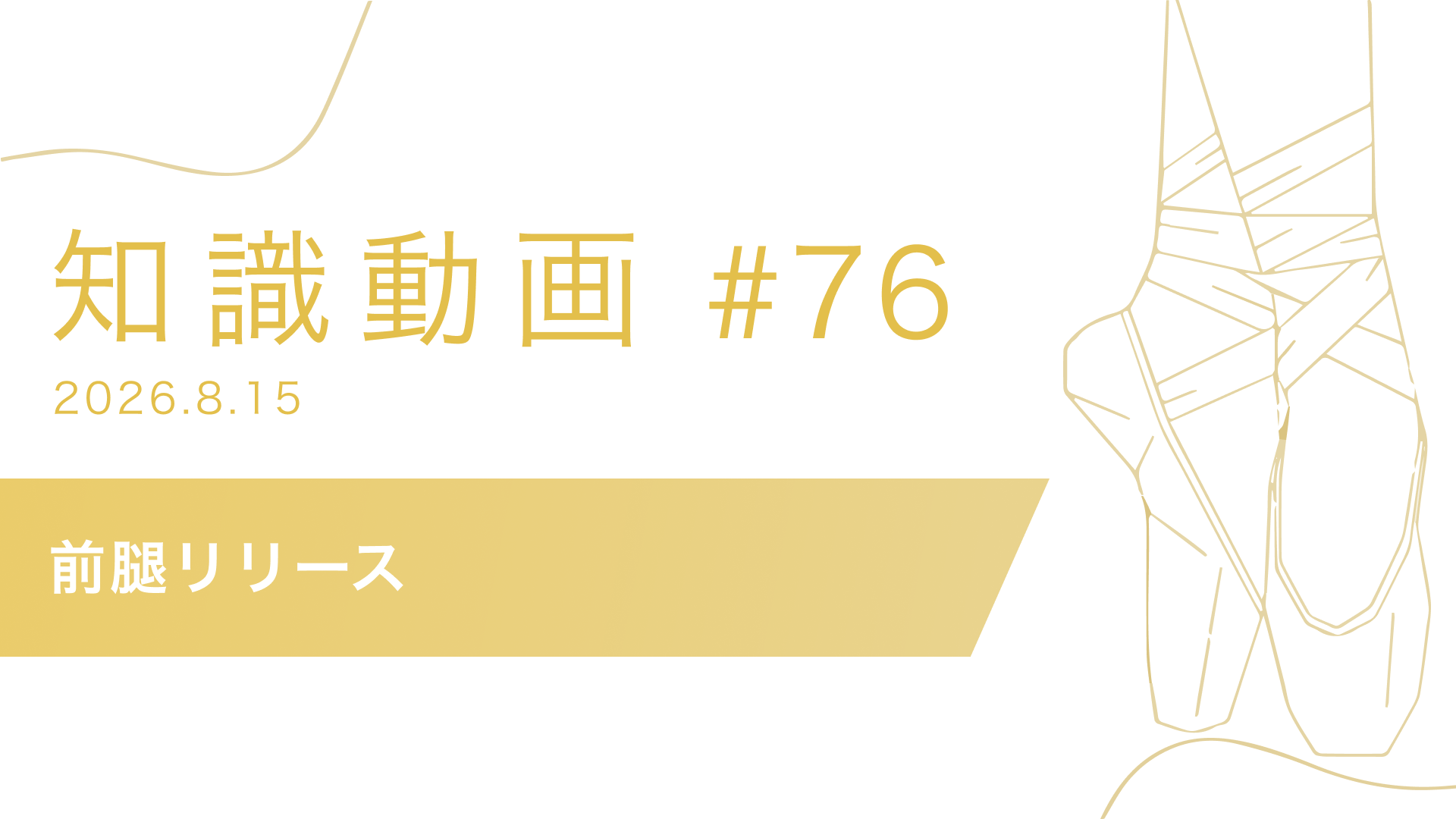 知識動画#76 前腿リリース